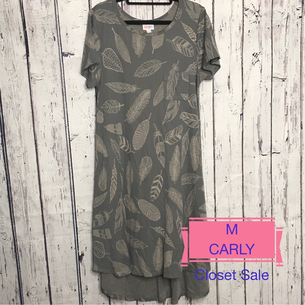 LuLaRoe Carly dress